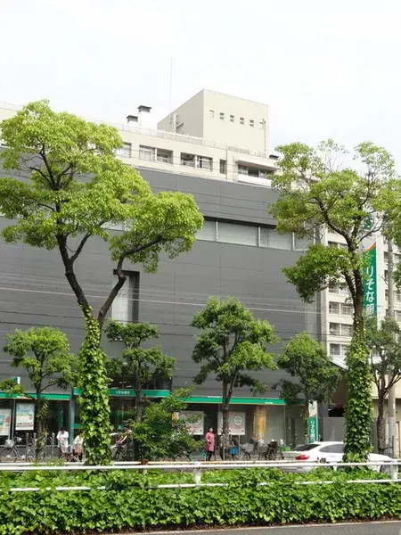 5LDK Property Osaka City Osaka Prefecture (12)