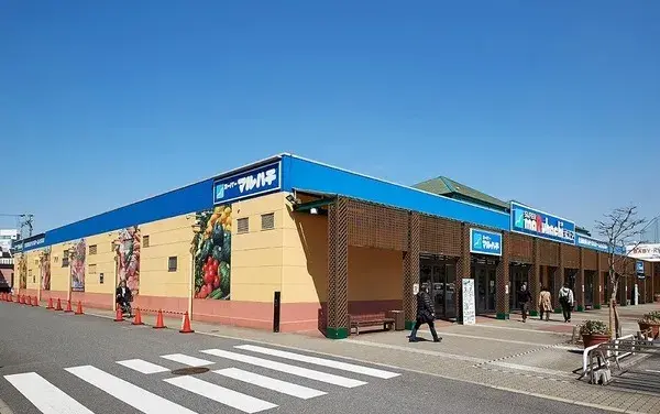 5LDK Property Osaka City Osaka Prefecture (5)