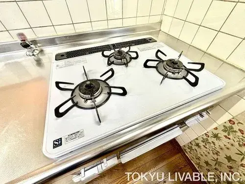 6LDK House Sapporo City Hokkaido (19)