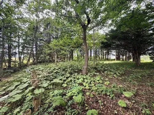 5LDK Property Eniwa City Hokkaido (19)