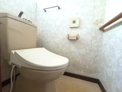 4K مدينة فوكوشيما محافظة فوكوشيما (14)