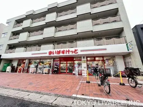 3LDK+S Property Ichikawa City Chiba Prefecture (11)
