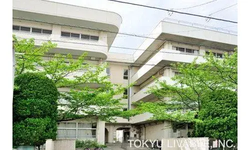 3LDK+S Property Ichikawa City Chiba Prefecture (19)