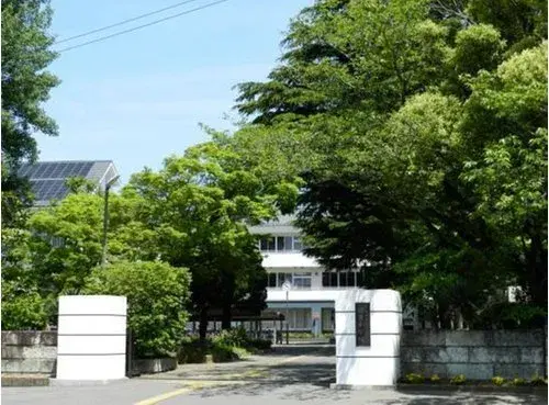 3LDK Property Sakura City Chiba Prefecture (20)