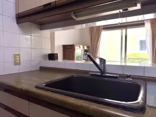 4LDK+S مدينة كوغاني، محافظة طوكيو (16)