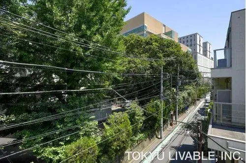 3LDK Property Shinjuku-ku Tokyo (5)