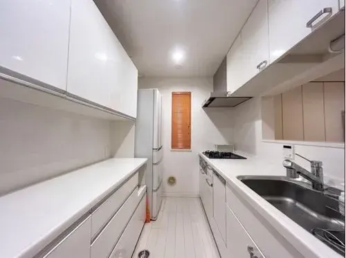 3LDK Property Setagaya Ward Tokyo (11)