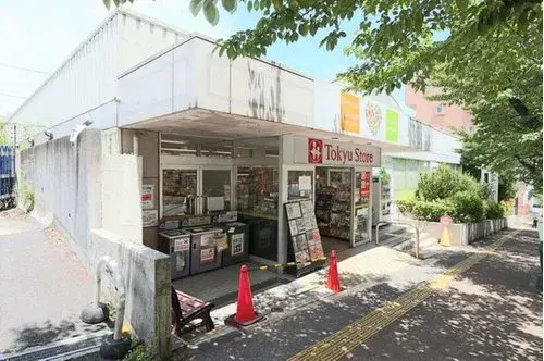 Bien immobilier 3LDK+S Quartier Miyamae, Ville de Kawasaki, Préfecture de Kanagawa (19)