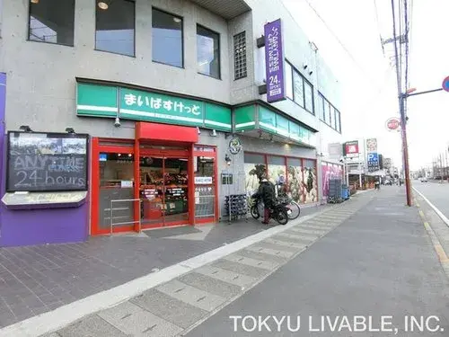 4LDK Property Kawasaki City Kanagawa Prefecture (17)