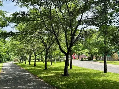 4LDK Propiedad Karuizawa-machi Prefectura de Nagano (17)