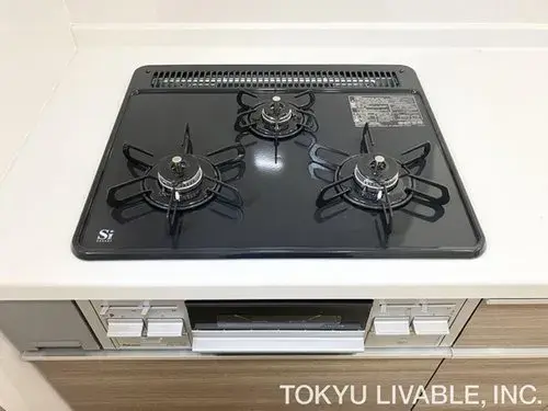 3LDK Property Nishinomiya City Hyogo Prefecture (10)
