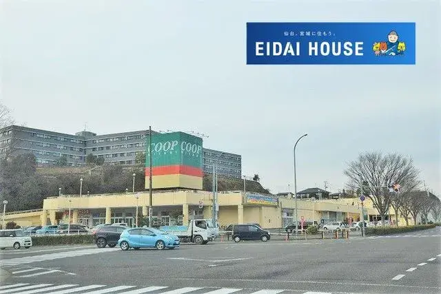 Недвижимость 3LDK, город Сендай, Мияги (11)