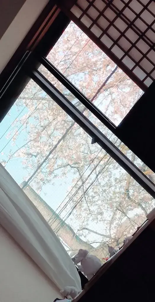 4LDK Property Urawa Ward, Saitama City Saitama Prefecture (8)