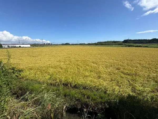 2LDK物件 旭市 千葉県 (15)