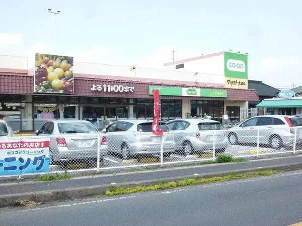 4LDK Property Nagareyama City Chiba Prefecture (23)