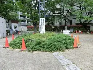 3LDK Property Toshima-ku Tokyo (20)