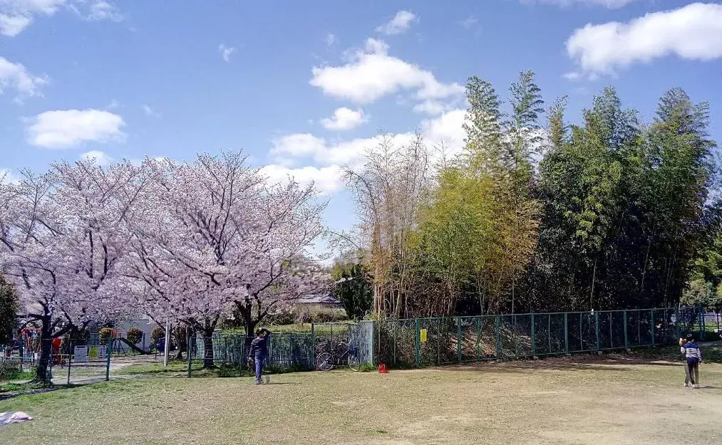 5LDK Property Hirakata City Osaka Prefecture (10)