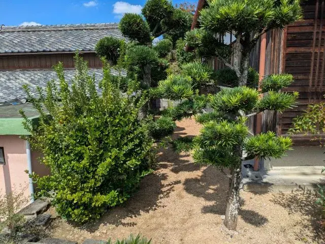 5LDK Property Izumi City Osaka Prefecture (9)