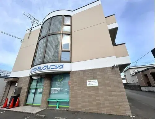 4LDK Property Chuo-ku, Sapporo Hokkaido (8)