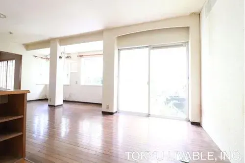 5LDK Property Tama City Tokyo (7)