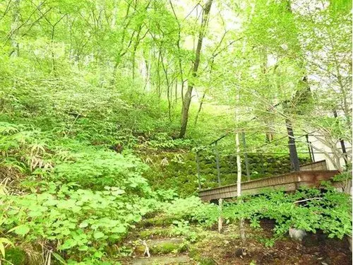 Propiedad de 3 dormitorios, sala, comedor y cocina Karuizawa-machi, Kita-Saku-gun Prefectura de Nagano (12)
