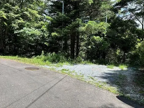 3LDK Property Karuizawa-machi Nagano Prefecture (3)