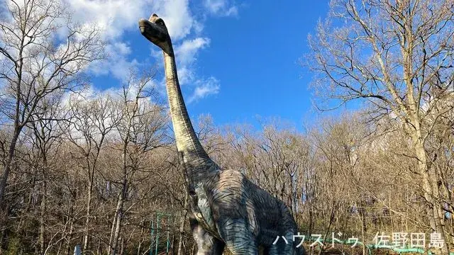 6K Propriété Ville de Sano Préfecture de Tochigi (15)