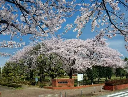 Saitama Misato 4LDK Property (16)
