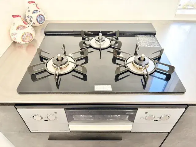 3LDK Property Koshigaya City Saitama Prefecture (18)