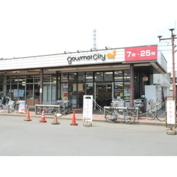 4LDK Property Kokubunji City Tokyo (22)