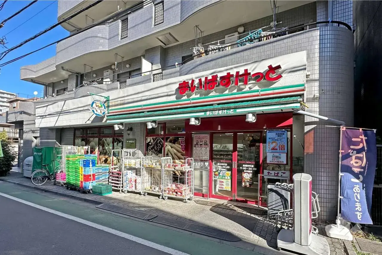 4K property Itabashi-ku Tokyo (8)