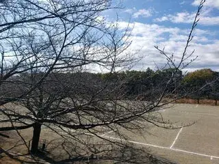 2LDK Atsugi City Kanagawa Prefecture (14)