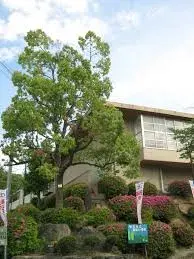3LDK Property Neyagawa-shi Osaka-fu (29)