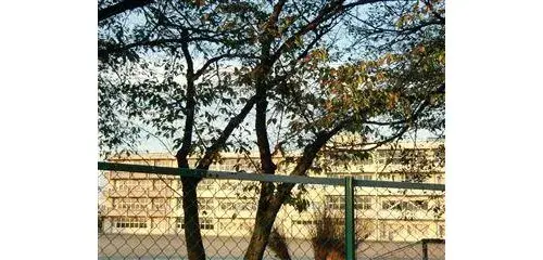 7LDK مدينة تسوتشيورا محافظة إيباراكي (6)