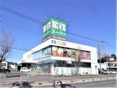 3LDK Property Hasuda City Saitama Prefecture (19)
