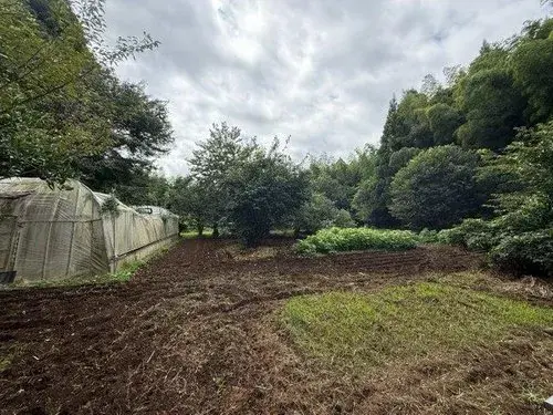 2DK Property Katsuura City Chiba Prefecture (4)