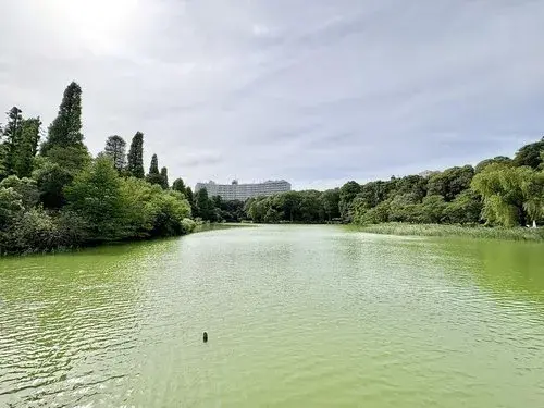 4LDK Mitaka City Tokyo (30)