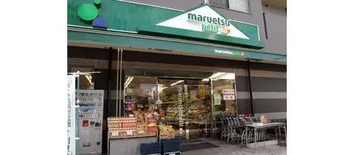 3K Property Bunkyo-ku Tokyo (10)