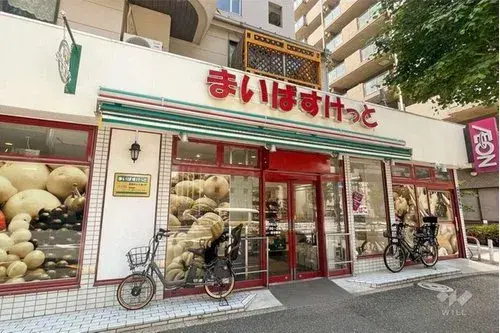 3LDK+S Property Itabashi-ku Tokyo (5)