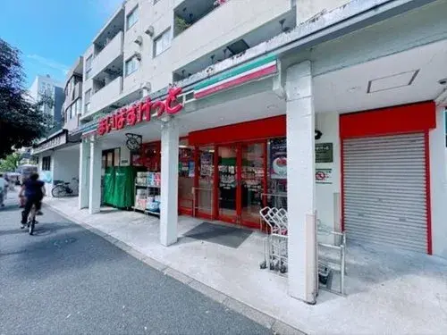 3DK Shinjuku-ku Tokyo Property (14)