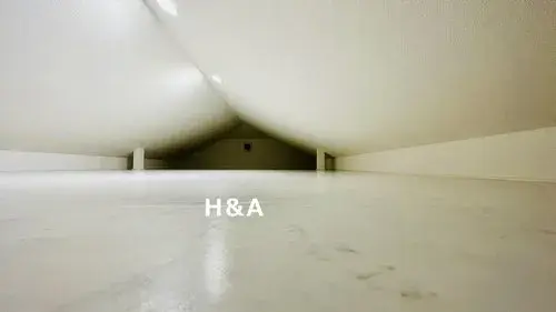 4LDK Property Ota Ward Tokyo (6)