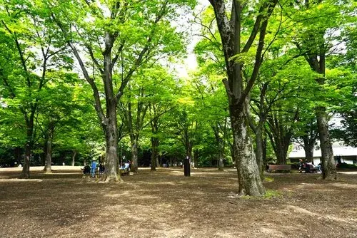 4LDK+S Property Setagaya Ward Tokyo (20)