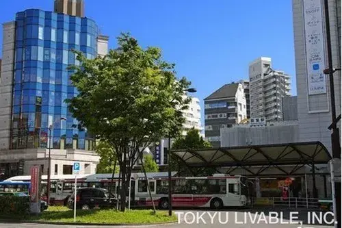 4LDK Arrondissement de Suginami Tokyo (8)