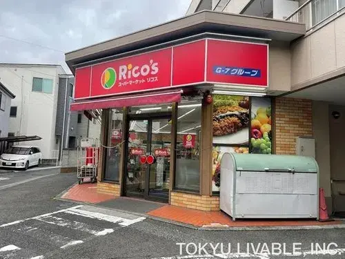 3LDK Adachi-ku Tokyo (10)