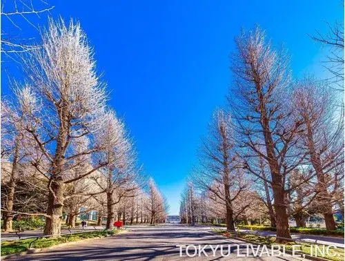 3LDK Yokohama Préfecture de Kanagawa (17)