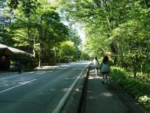عقار 3LDK+S كارويزاوا ماتشي ناغانو (16)