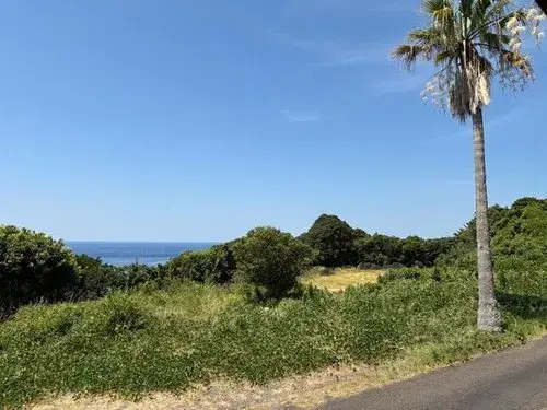 17DK Property Tosashimizu City Kochi Prefecture (24)