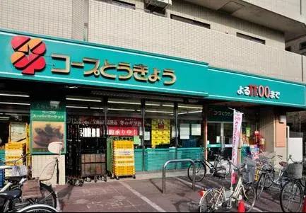3SLDK Property Musashino City Tokyo (6)