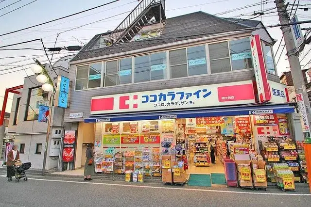 5SLDK房产 世田谷区 东京都 (5)