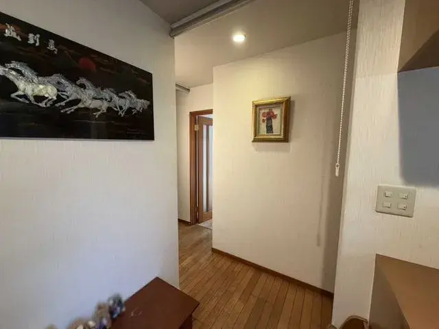 3LDK Property Ota-ku Tokyo (15)